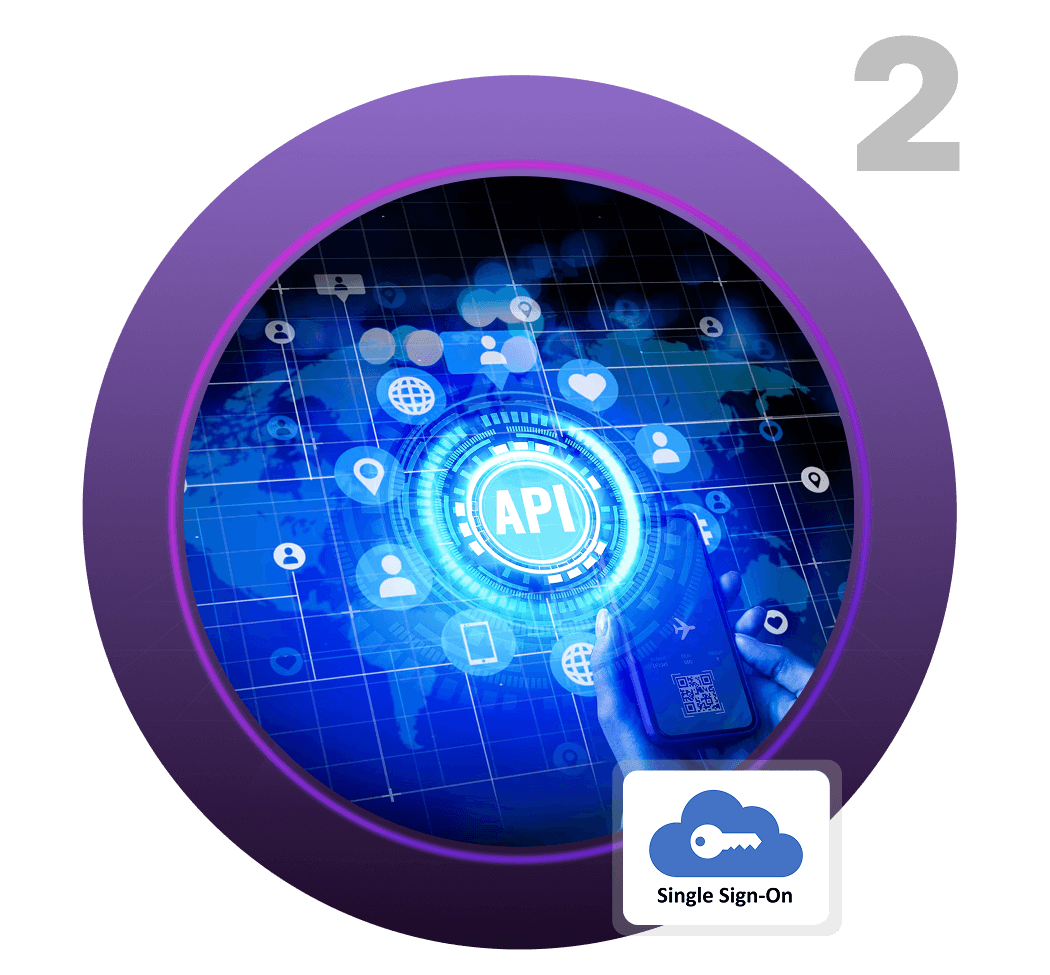 API customisation